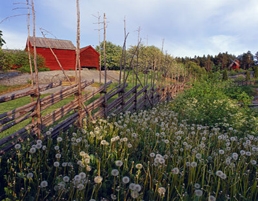 Aland country side - VisitFinland